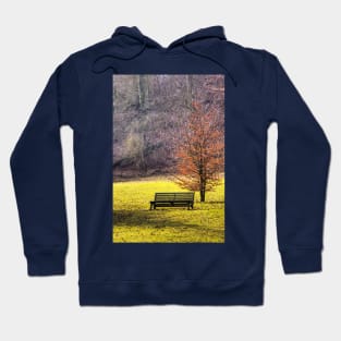 Waiting For Someone To Love Hoodie